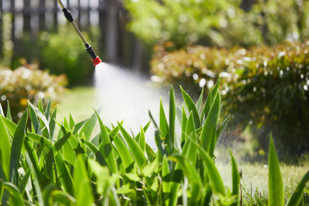 24/7 Emergency Termite Control experts in Westmont, CA